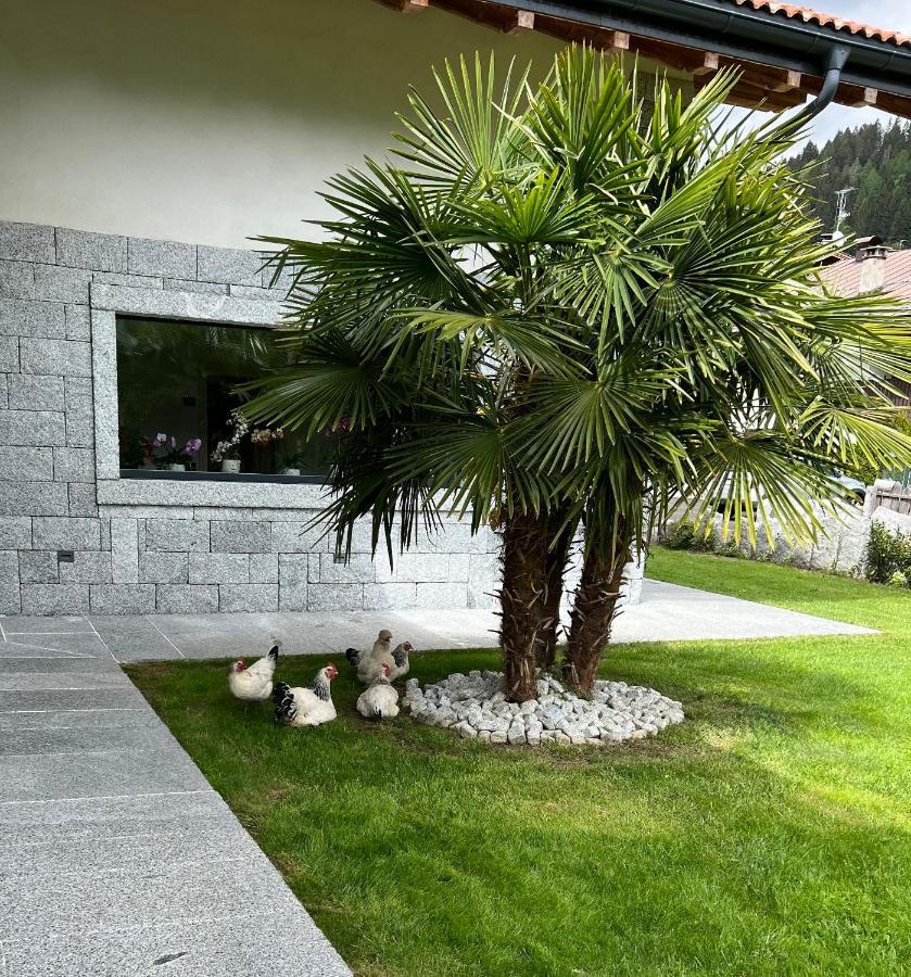 B&B Casa Il Sasso ピンツォーロ エクステリア 写真