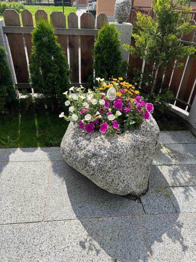 B&B Casa Il Sasso ピンツォーロ エクステリア 写真
